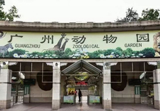 輕松規劃出游 攜程旅游一站式服務指南