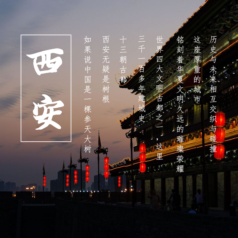 西安旅游 博物館+大雁塔+城墻+鐘鼓樓 市內包車一日游(一朝入西安 一日懂千年)當地向導風趣講解 可代訂景點門票